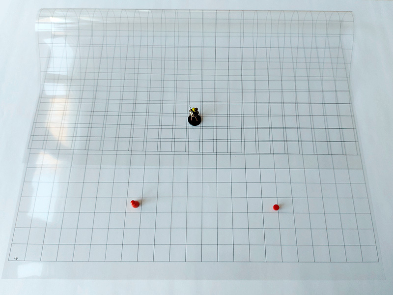 Blank DnD Map